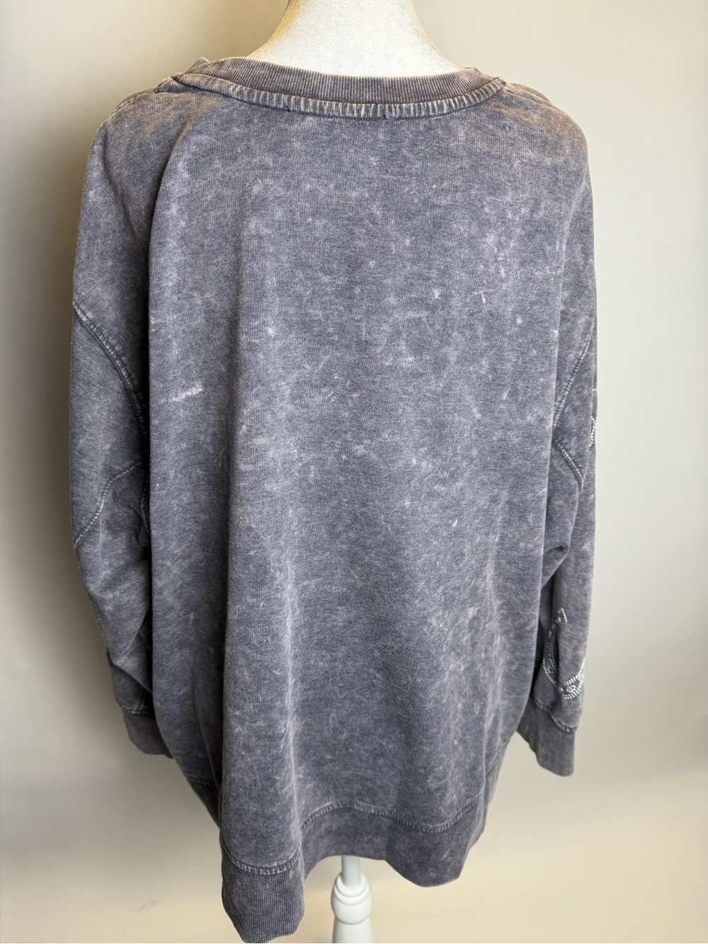 Jane & Delancey Gray Mineral Wash Sweatshirt with Embroidered Western Motifs - Picture 3 of 14